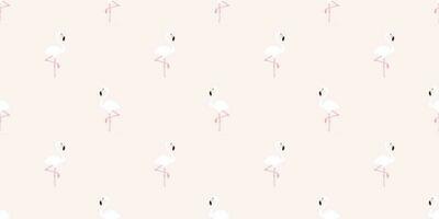 flamingo naadloos patroon vector roze flamingo's exotisch vogel tropisch sjaal geïsoleerd zomer herhaling behang tegel achtergrond tekenfilm illustratie pastel grafisch