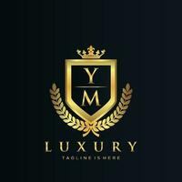 ym brief eerste met Koninklijk luxe logo sjabloon vector