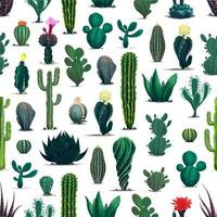 Mexicaans woestijn cactussen, stekelig sappig planten vector