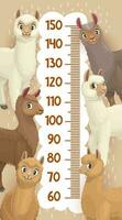 hoogte tabel groei meten heerser lama en alpaca vector