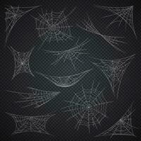 geïsoleerd spin web en spinneweb, halloween vakantie vector