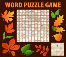 herfst bladeren en eikels woord zoeken puzzel spel vector