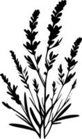 lavendel - hoog kwaliteit vector logo - vector illustratie ideaal voor t-shirt grafisch