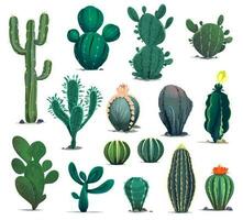 tekenfilm woestijn cactussen, stekelig vetplanten planten vector