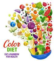 voeding bord van regenboog kleur eetpatroon vitamines vector