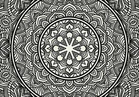 vector mandala kleur bladzijde. mandala illustratie voor kleur boek.