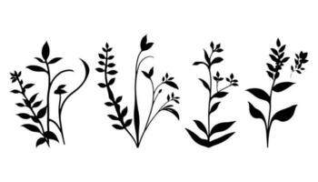 mooi klein planten silhouet vector, planten vector, fabriek silhouet reeks vector