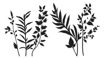 mooi klein planten silhouet vector, planten vector, fabriek silhouet reeks vector