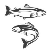 Zalm vis icoon van zeevruchten of zee visvangst sport vector