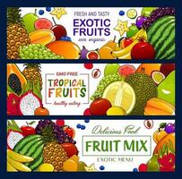 tropisch fruit en BES banners vector