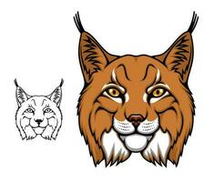 lynx of bobcat mascotte, hoofd van wild tekenfilm dier vector