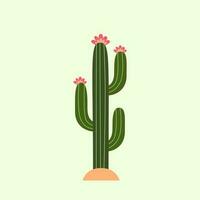 cactus vector illustratie. vector cactus met bloemen. cactus vlak stijl.