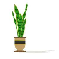 sier- planten concept, slang fabriek kleur vlak vector verzameling. vector kleur illustratie van sansevieria trifasciata zeylanica. schoonmoeder tong.