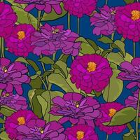 patroon met gemeenschappelijk zinnia. Purper elegant zinnia bloem Aan donker blauw achtergrond vector