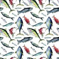 divers zee vissen naadloos patroon waterverf illustratie geïsoleerd Aan wit. wild vis, tonijn, Zalm, haring, ansjovis hand- getrokken. ontwerp element voor textiel, verpakking, papier, inpakken, achtergrond vector