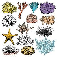 onderwater- koralen, poliepen, zee egels en sterren vector