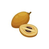 pouteria sapota, mamey sapot sapodilla fruit voedsel vector