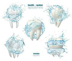 mond afspoelen, mondwater, schoon tanden met water vector