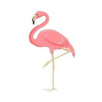 vector illustratie van een roze flamingo in tekenfilm stijl Aan een transparant achtergrond.