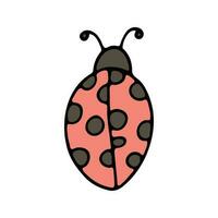 hand- getrokken lieveheersbeestje kleur tekening vector