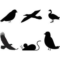 vogel nerd silhouet verschillend soorten van vogel vogelstand silhouet vector schattig vogel minnaar geschenk