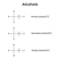 alcohol biochemie functioneel groep vector infographic