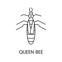 koningin bij icoon in lijnen, vector illustratie