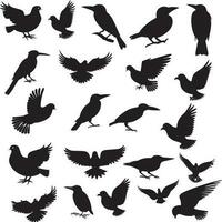 verschillend types van vogelstand silhouet vector. vector