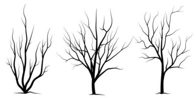 zwarte tak boom of naakte bomen silhouetten set. hand getrokken geïsoleerde illustraties. vector