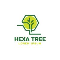 hexa boom logo sjabloon vector