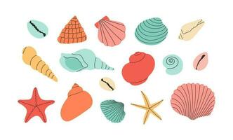 reeks van kleurrijk vector hand- trek schelpen en zeesterren. geïsoleerd ontwerp elementen. zomer vakantie verzameling, tropisch strand schelpen.
