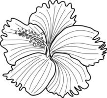 skecth van hibiscus bloem vector