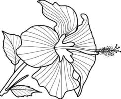 skecth van hibiscus bloem vector
