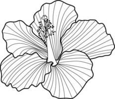 skecth van hibiscus bloem vector