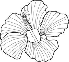 skecth van hibiscus bloem vector