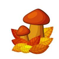 champignons. herfst element van Woud en natuur. natuurlijk voedsel. groot en klein cep. rood en oranje bladeren. detail voor achtergrond van kind tekening. tekenfilm illustratie vector