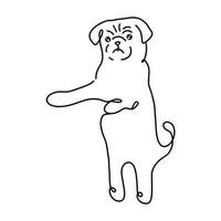 hand- tekening hond. illustratie hond. tekening van hond Aan wit backgroung voor bestanddeel van ontwerp. vector