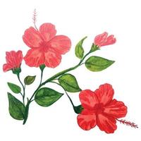 bloemen aquarel illustratie vector