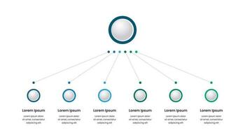 bedrijf hiërarchie infographic sjabloon vector