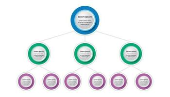 hiërarchie organisatie infographics sjabloon voor bedrijf presentatie vector