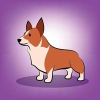 schattige cartoon vectorillustratie van een corgi-hond vector