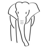 olifant vector illustratie ontwerp