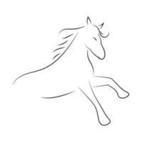 paard vector illustratie ontwerp