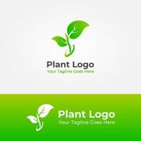 groeit fabriek logo vector ontwerp, fabriek logo ontwerp, zaailing logo, eco vriendelijk, milieu vector