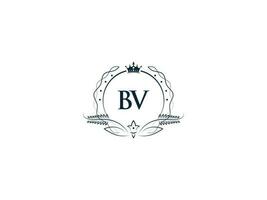professioneel bv luxe bedrijf logo, vrouwelijk kroon bv vb logo brief vector icoon
