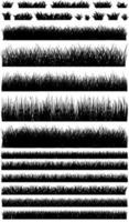 veel verschillende soorten gras in vector