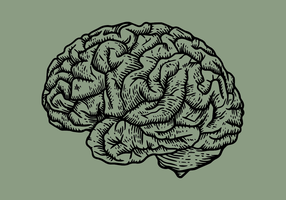 Hersenen graveren vector