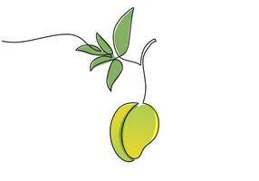 mango doorlopend een lijn tekening, fruit vector illustratie.