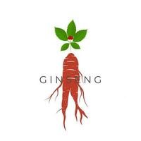rood ginseng wortel vector illustratie logo