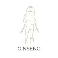 gezond ginseng wortel gemakkelijk lijn kunst vector illustratie logo